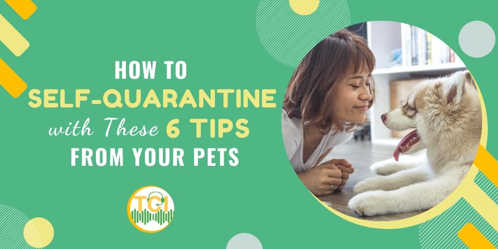 How to Self-Quarantine with These 6 Tips From Your Pets
